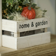 Collection image for: Office & Garden