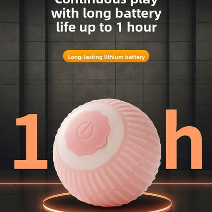 Kattenbal electronisch