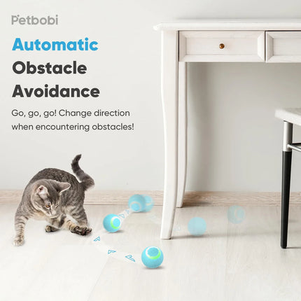 Kattenbal electronisch