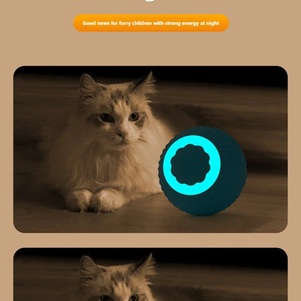 Kattenbal electronisch