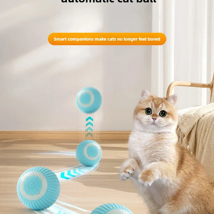 Kattenbal electronisch